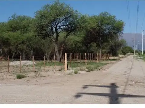 Valle de los Comechingones, Villa de Merlo 100