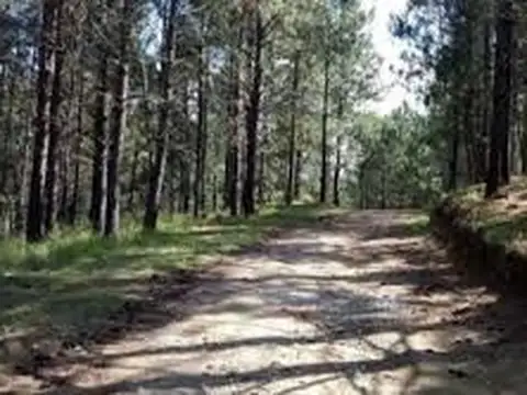 Villa del Condor 100