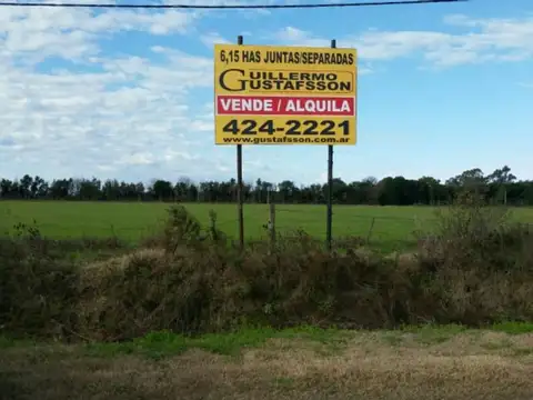 Silvestre Begnis 2000