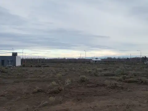 Terreno en Venta en Chichinales, USD 11.500