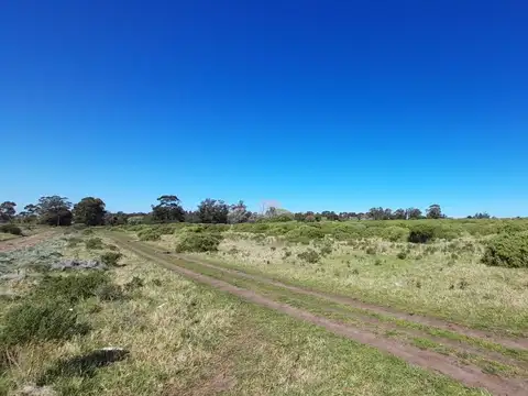 VENTA LOTE 2,3 HECTAREAS ZONA SUR DE MAR DEL PLATA