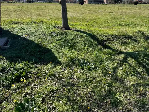 Terreno en Venta de 1140,0 m2