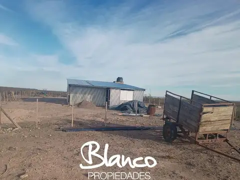 La Pampa - 25 de Mayo -