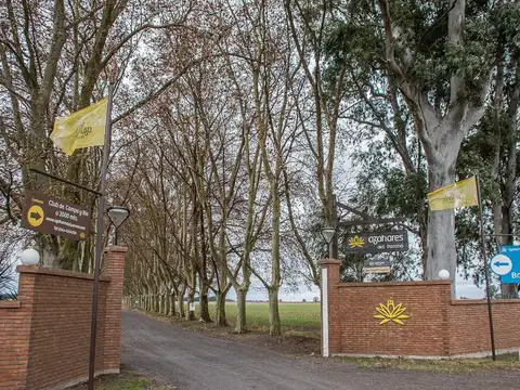 Terreno en Azahares del Paraná