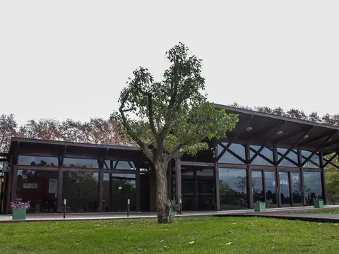 Terreno en Venta en Fighiera, USD 67.000