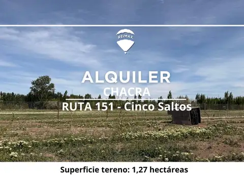 ALQUILER CHACRA EN RUTA 151 CINCO SALTOS