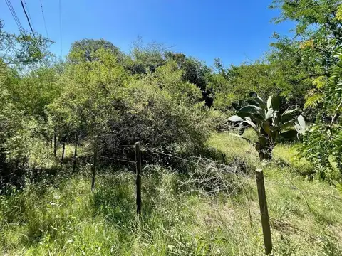 Av, Los Nacimientos