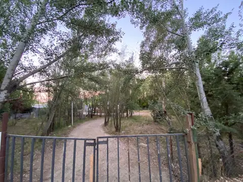 Cabaña en Bellavista Sur con amplio terreno.