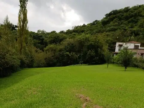 Buena Vista 14