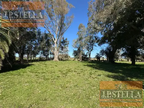 Campo 19 ha con frente RP 41 - Casa 3 amb. Molino y Tanque Australiano - San Miguel del Monte