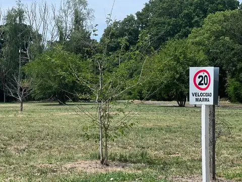 Centenera 2299
