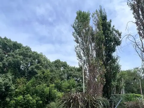 Terreno en Venta de 440,0 m2