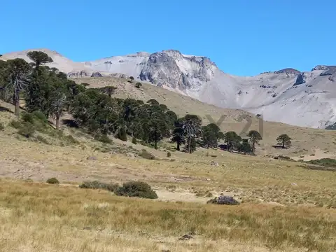 Ruta Provincial 21