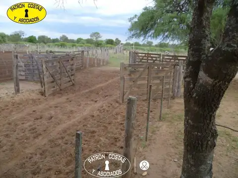 Departamento en Venta en Chañaritos, USD 7.000.000