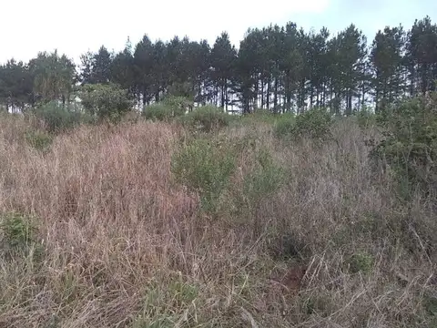 50 has urbanas en jardin america con teales y galpones