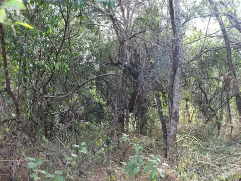 VENTA TERRENO 392M2 VILLA PAN DE AZUCAR COSQUIN