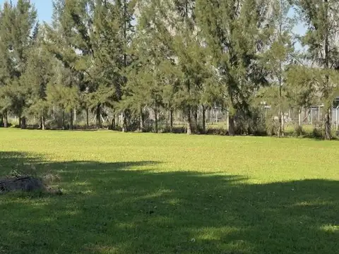 LOTE EN VENTA EN SAN VICENTE!