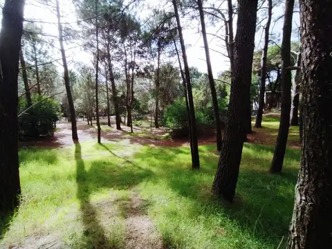 Terreno en Venta de 675,0 m2