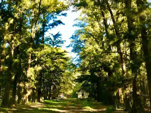 Campo en alquiler - 14 Dormitorios 4 Baños - 50.000Mts2 - Tristán Suarez