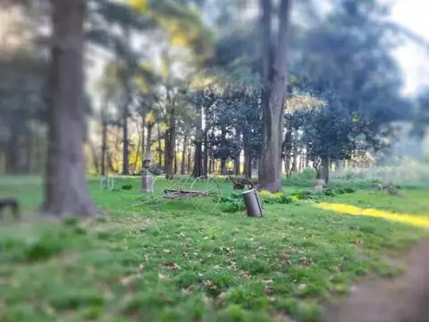 Roque Sáenz Peña y Falucho