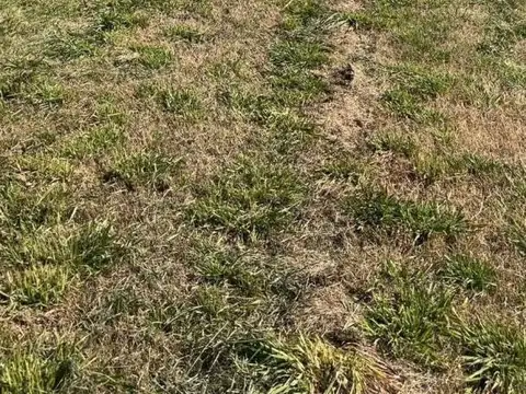 Ruta 205 km 53,100 y Camino del 80