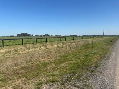 Ruta 205 km 53,100 y Camino del 80
