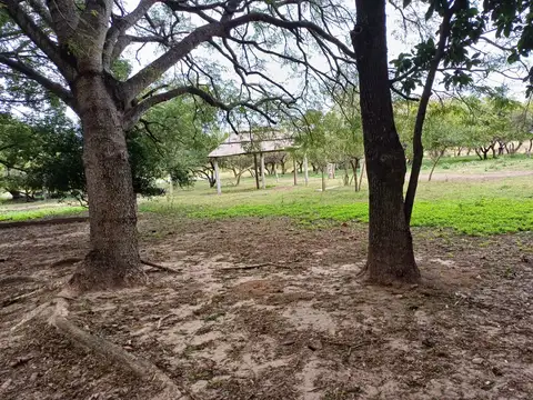 CAMPO DEL MEDIO A 2 KM DE RUTA 1 ACCESO ES DE ARENA UNA CALLE MUY TRANSITADA.
