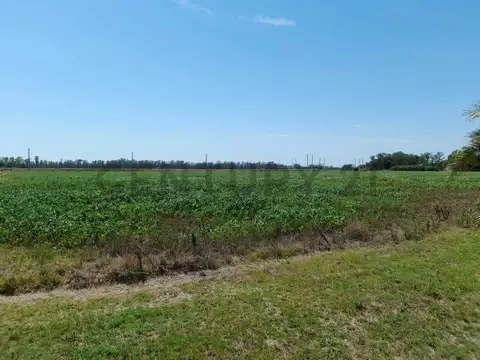 Excelente Campo 12 hectáreas próximo a San Antonio de Areco