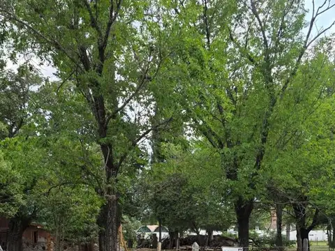 Terreno en Venta de 2155,0 m2