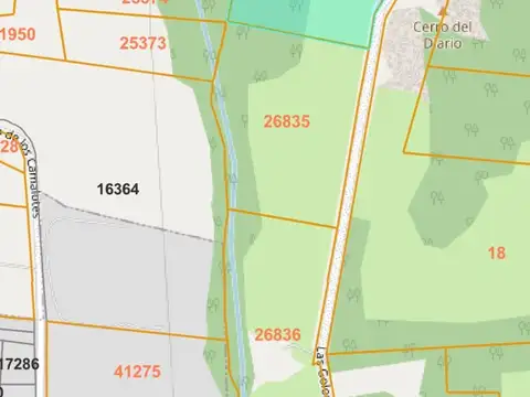 Campo en venta de 50000m2 ubicado en Portezuelo
