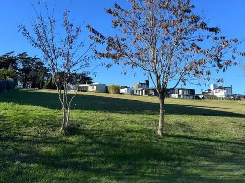Terreno en barrancas