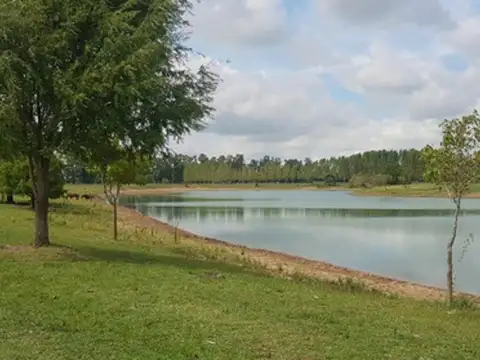 Venta 102 Hectareas Con Proyecto Avanzado Sobre Ruta 6 - San