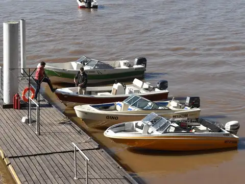 Julio Argentino Roca 650