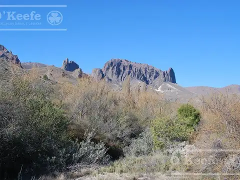 Terreno en Venta de 24000,0 m2