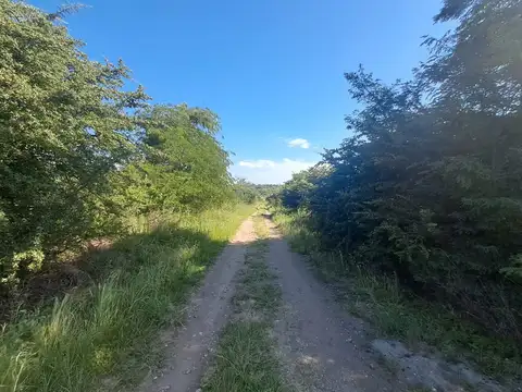 Capilla Vieja 100