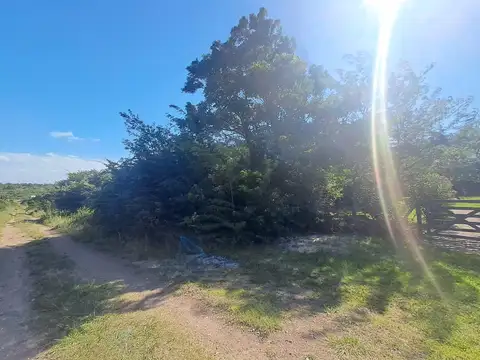Capilla Vieja 100