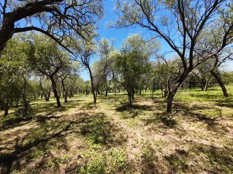 Terreno en Venta 60  mts Frente