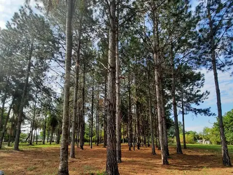 Terreno en Venta en Corrientes, USD 120.000
