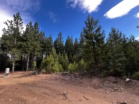 Lote con gran capacidad de explotacion.