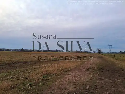 80 Ha. CAMPO AGRO-GANADERO. MARCOS PAZ