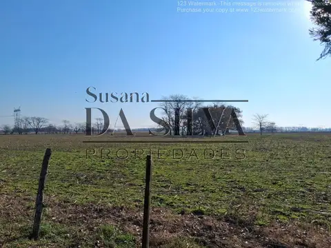 Zona Rural