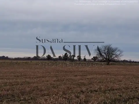 80 Ha. CAMPO AGRO-GANADERO. MARCOS PAZ