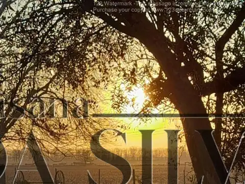 80 Ha. CAMPO AGRO-GANADERO. MARCOS PAZ