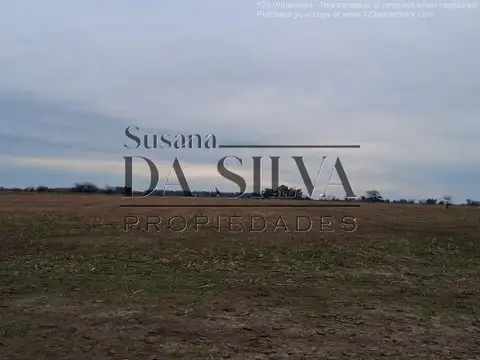 80 Ha. CAMPO AGRO-GANADERO. MARCOS PAZ