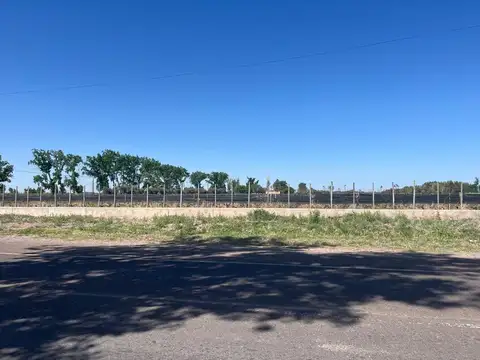 VENTA FINCA EN PRODUCCION TRES PORTEÑAS