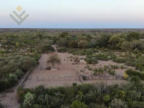Ruta 81