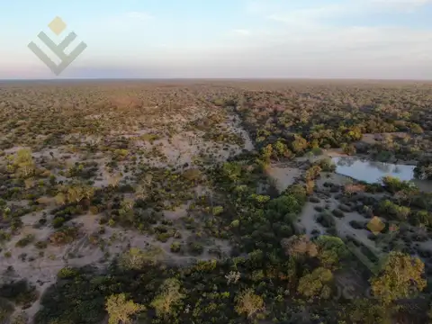 VENTA Campo Ganadero en Morillo Rivadavia