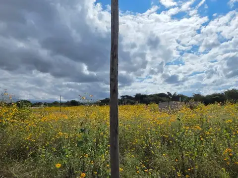 Terreno en Venta 10  mts Frente