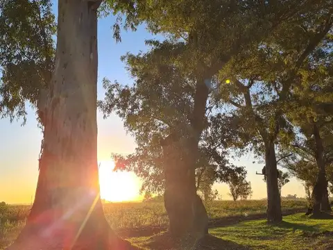 Terreno en Venta en General Rodriguez, USD 30.000