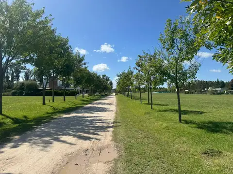 Terreno en  Campo de Roca 2